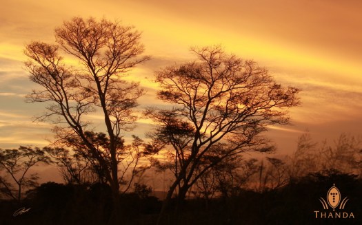 20130127 - CS2_9259 - E - SIG