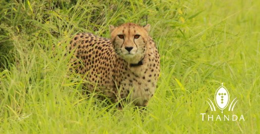 20130128 - CS2_9879 - E - SIG