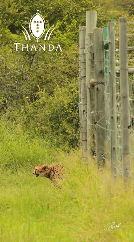 20130128 - CS2_9925 - E - SIG