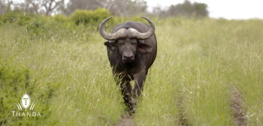 20130130 - CS2_0350 - E - SIG