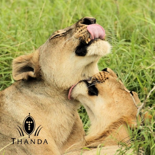 20130114 - CS2_7153 - E - SIG