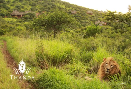 20130129 - CS2_0068 - E - SIG