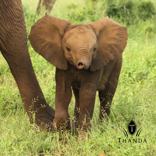 20130131 - CS1_9300 - E - SIG