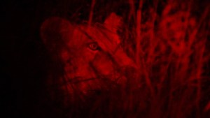 20130210 - CS2_1468 - E