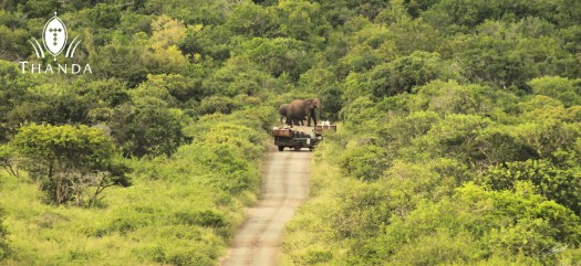 20130211 - CS2_1607 - E - SIG