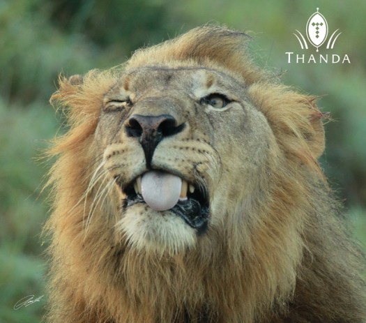 20130213 - CS2_1946 - E - SIG