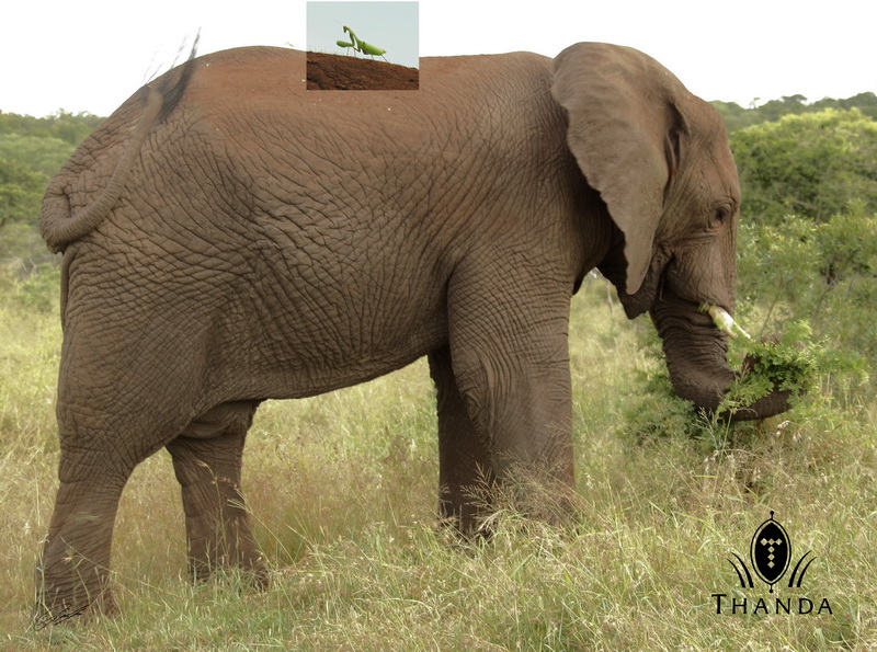 20130224 - CS2_3479 - E - SIG