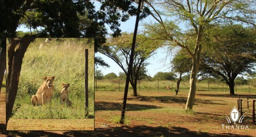 20130226 - Collage 1500 - E - SIG