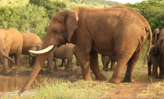 20130227 - CS2_4301 - E