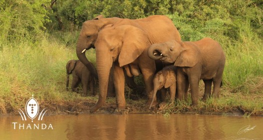 20130227 - CS2_4304 - E - SIG