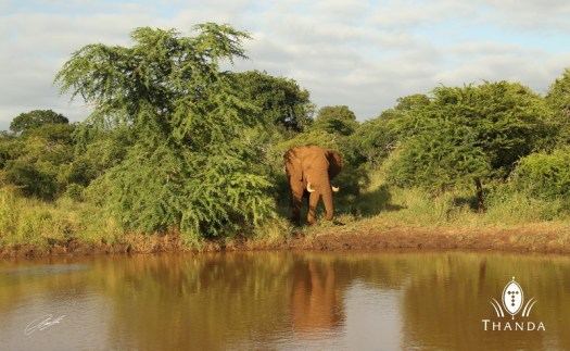 20130227 - CS2_4341 - E - SIG