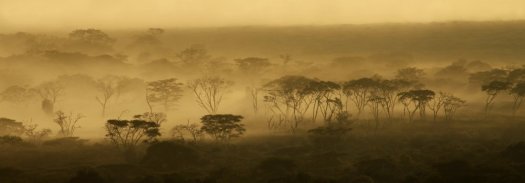 20130427- CS2_3013 - E