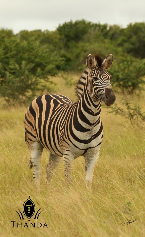 20130301 - CS2_5084 - E - SIG