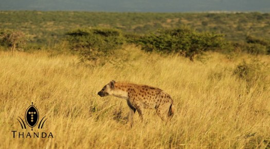 20130305 - CS2_5840 - E - SIG