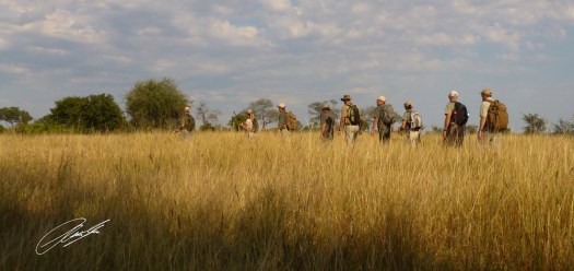 20130316 - P1020498 - E