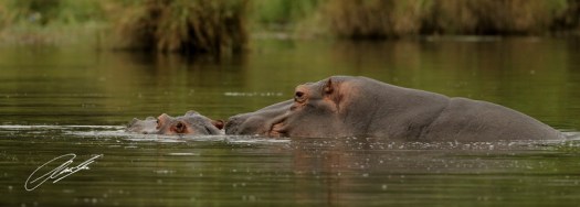 20130321 - CS3_0375 - E - SIG