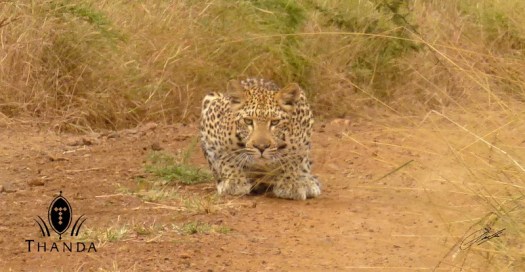 20130325 - P1020621 - E - SIG