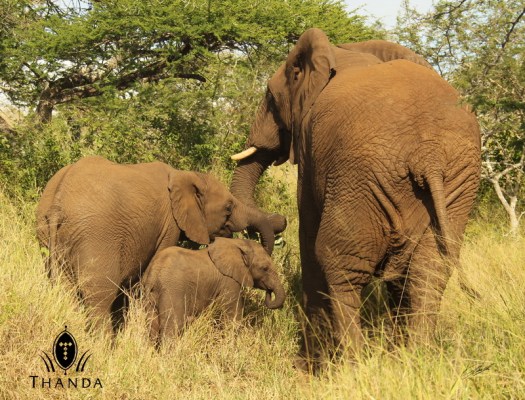 20130331 - CS2_8317 - E ISG