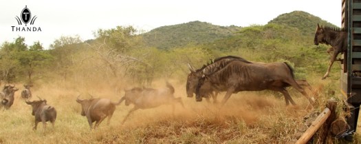 20130411 - CS2_9643 - E - SIG