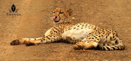 20130413 - CS2_9915 - E - SIG