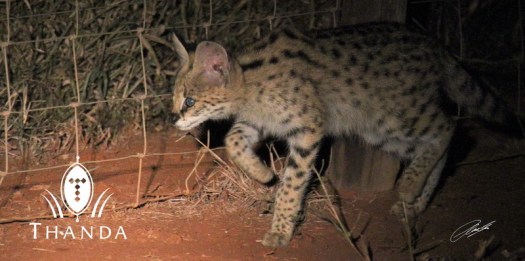 20130425 - CS2_2579 - E - SIG