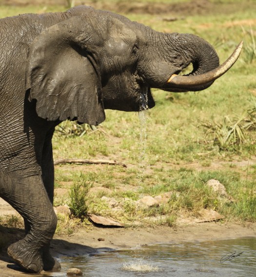 3 - 20130405 - CS3_1100 - E