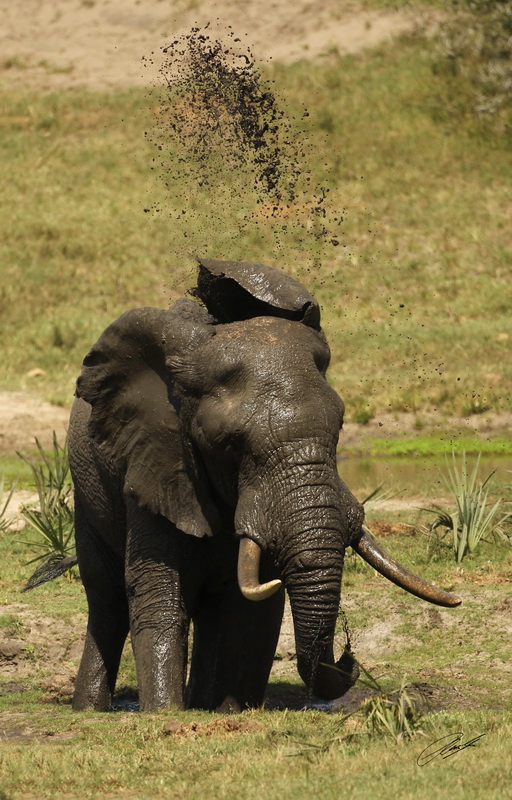 6 - 20130405 - CS3_1065 - E