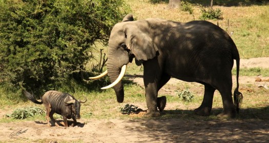 7 - 20130405 - CS2_8683 - E