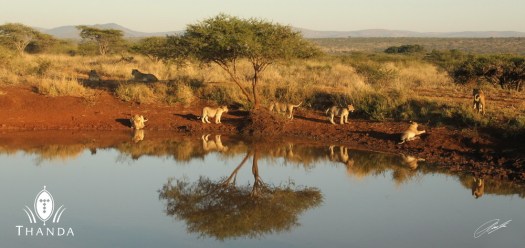 20130509 - CS2_8856 - E - SIG