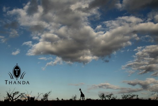 20130512 - CS2_9897 - E - SIG