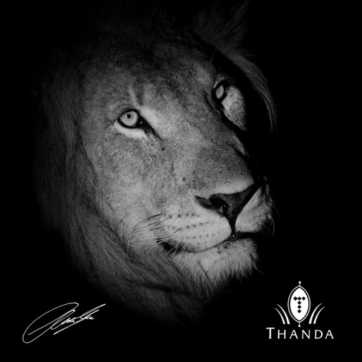 20130516 - CS2_0734 - E - BW - SIG