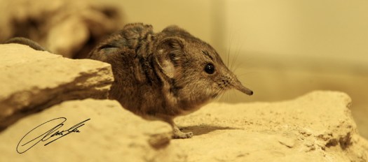 20130527 - CS3_0148 - E - SIG