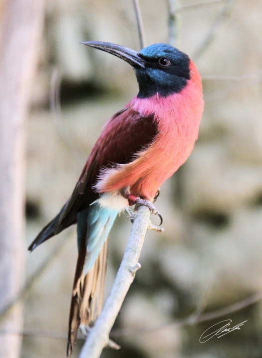 20130527 - CS3_0165 - E - SIG