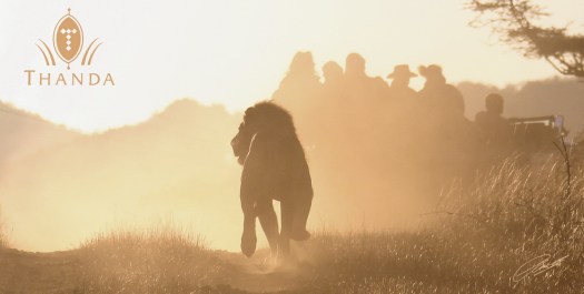 20120627 - CS1_0298 - E - SIG