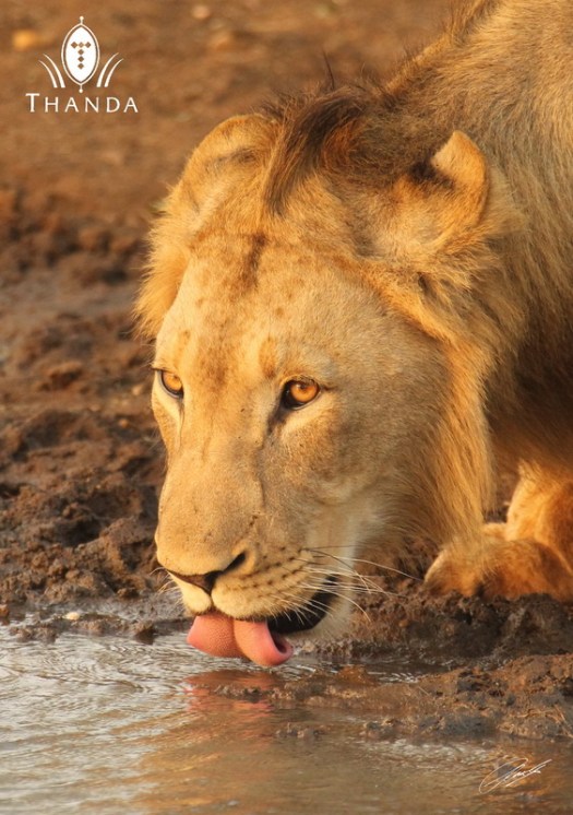 20130517 - CS2_1024 - E - SIG 2