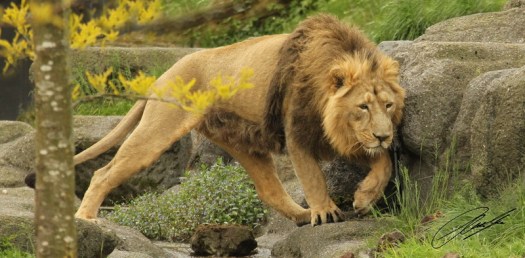 20130603 - CS3_0377 - E 1