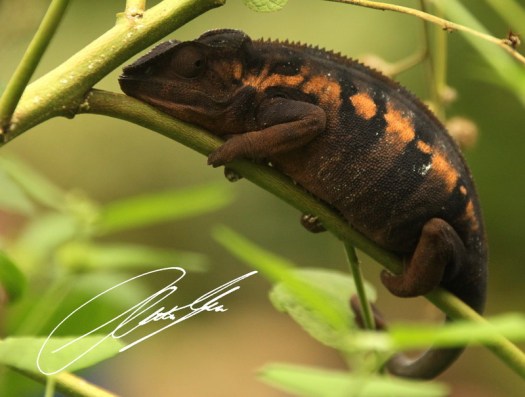 20130603 - CS3_0622 - E