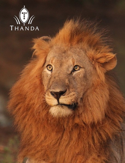 20130611 - CS2_1319 - E - SIG