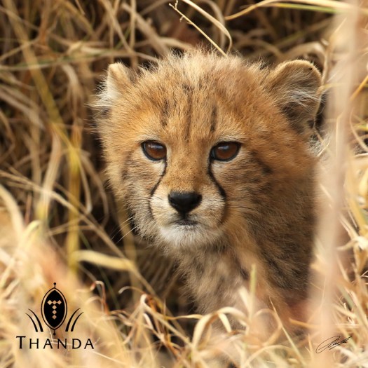 20130615 - CS1_9808 - E - SIG