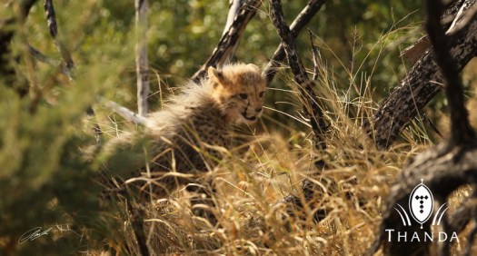 20130615 - CS3_0697 - E - SIG