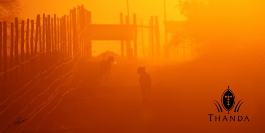 20130619 - CS1_9843 - E - SIG