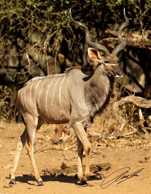 20130619 - CS3_0865 - E - SIG