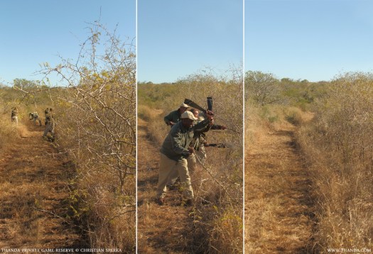 20130611 - Collage 1558 - E - THANDA