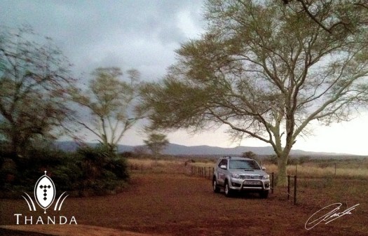 20130711 - IMG_2440 - E - SIG