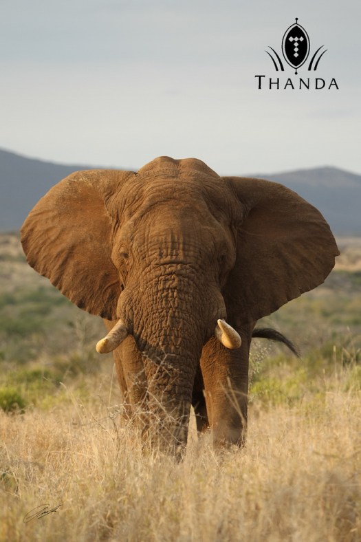 20130720 - CS3_4026 - P150