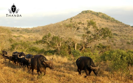 20130722 - CS3_4320 - E - SIG