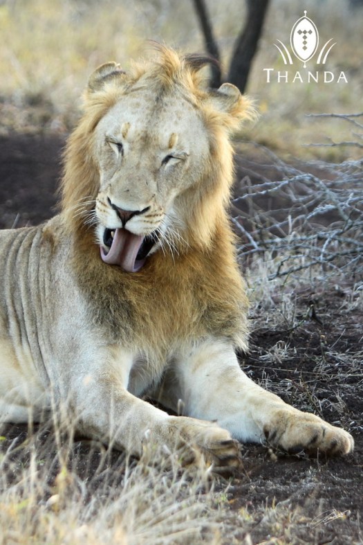 20130722 - CS3_4370 - P150