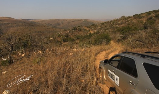 20130725 - CS3_4715 - E - SIG