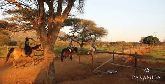 20130727 - CS1_9968 - E