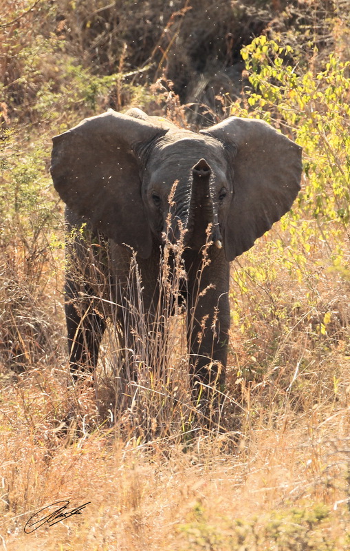 20130727 - CS2_0104 - E - SIG